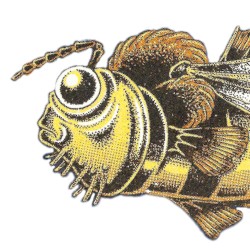 Beetronics Seabee