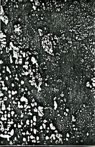 Oroko Do