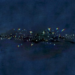 murmuration