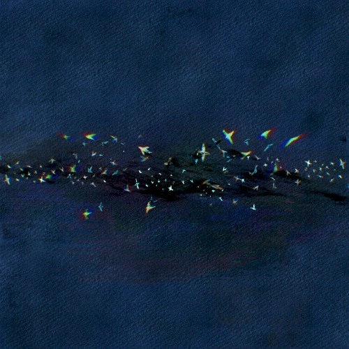 murmuration