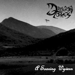 A Soaring Wyvern