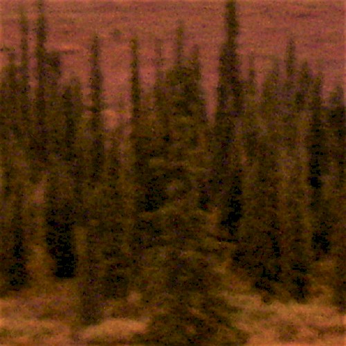autumn in hell