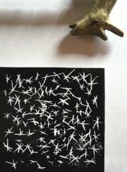 暗闇の向こうで、きっと何かが鳴いている