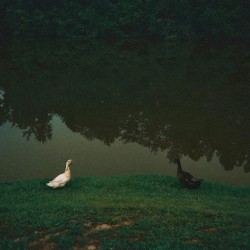 The Subtle Limbo