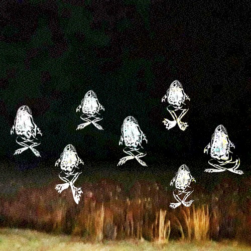 The Haunted Froglands 2