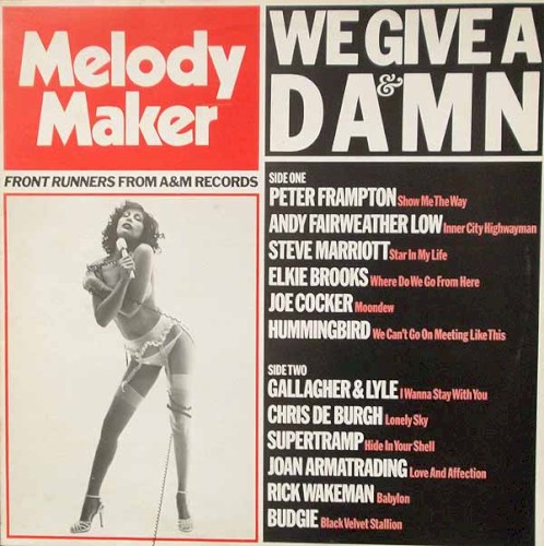 Melody Maker: We Give a Damn