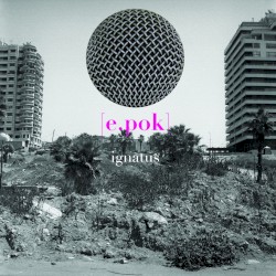 [e.pok]