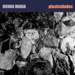 Plasticidades