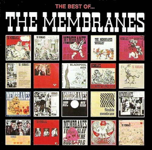 The Best of The Membranes