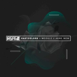 Module / Here Now