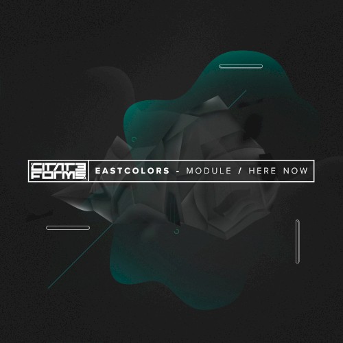 Module / Here Now