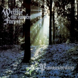 Within the Ancient Forest