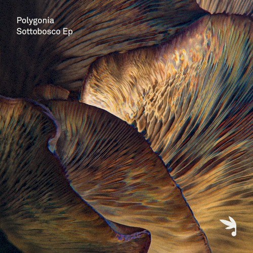 Sottobosco EP