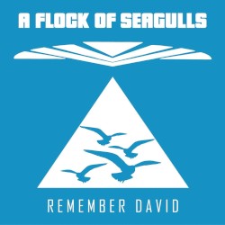 Remember David