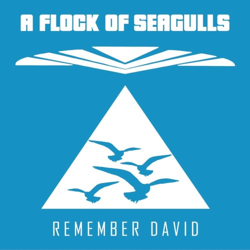 Remember David