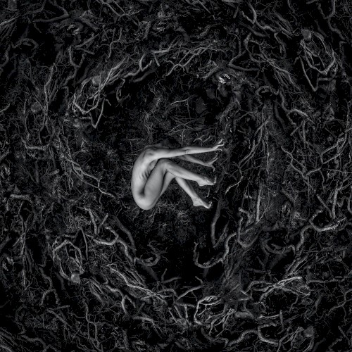 Let the Earth Be Silent
