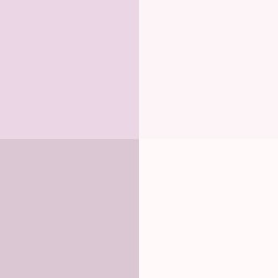 #!/for/pigg