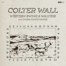 Western Swing & Waltzes and Other Punchy Songs