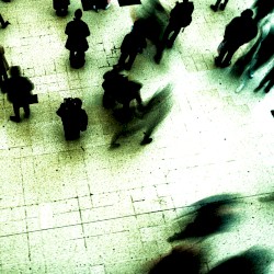 split