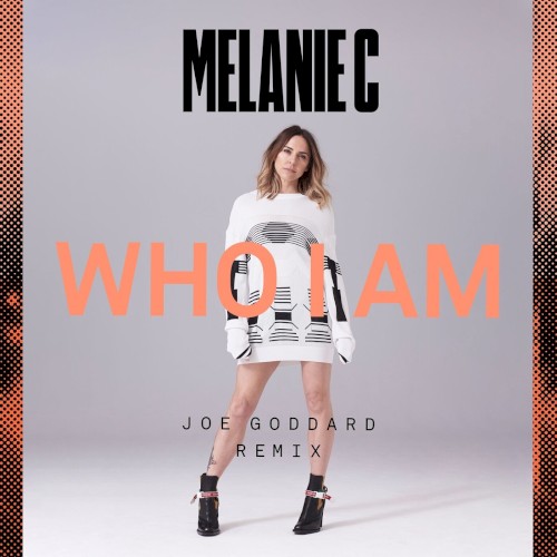 Who I Am (Joe Goddard remix)