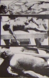 Bizarre Abnormality Compilation Tape Volume 1