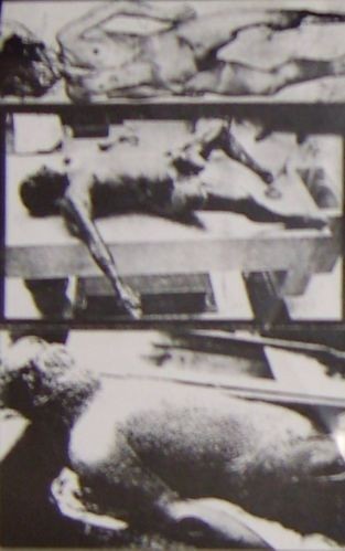 Bizarre Abnormality Compilation Tape Volume 1