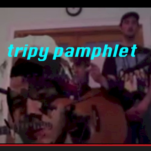 tripy pamphlet