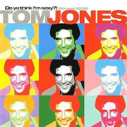 Do Ya Think I'm Sexy?! (Remixes 2005)
