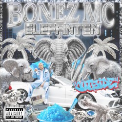 Elefanten 🐘🐘🐘