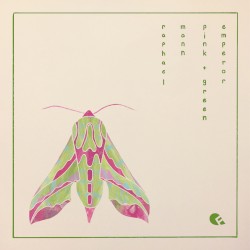 Pink & Green Emperor