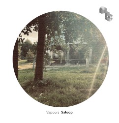 Vapours