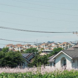 Yanami