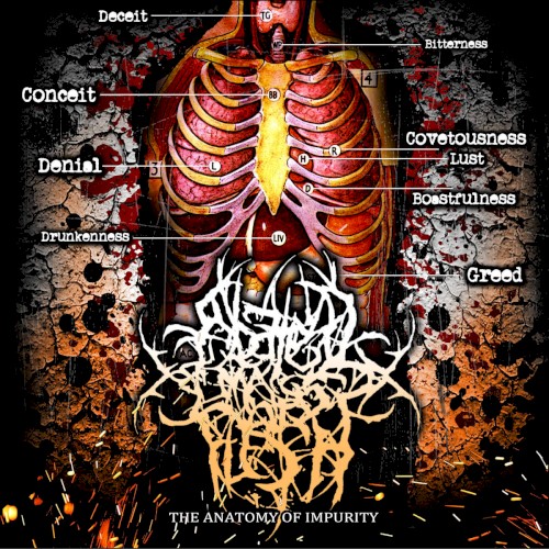 The Anatomy of Impurity