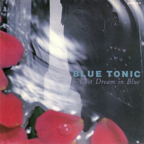Last Dream in Blue