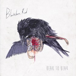 Beak to Beak