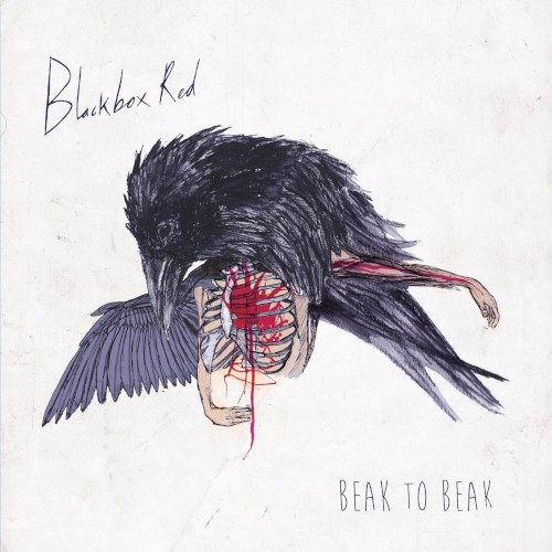Beak to Beak
