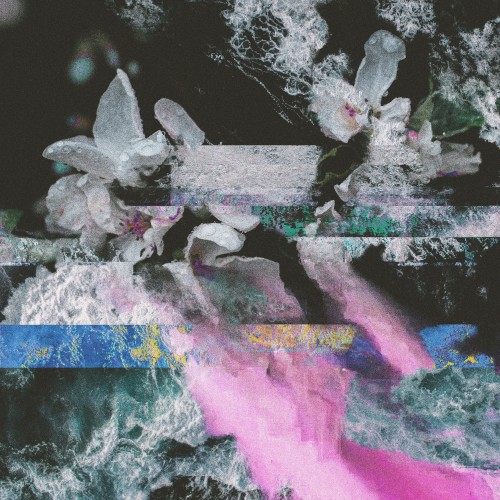 Blossom