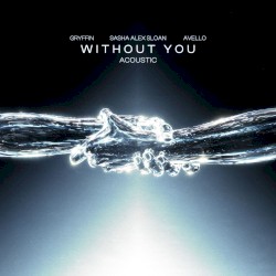 Without You (acoustic)