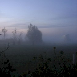 Frozen Silence