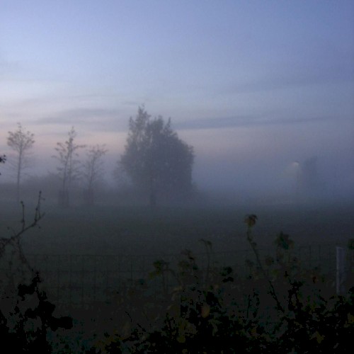 Frozen Silence