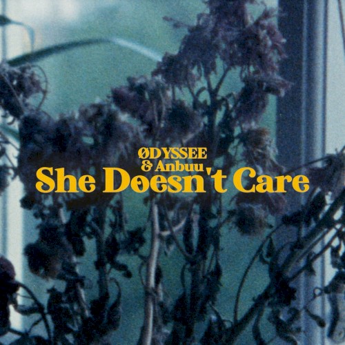 She Doesn’t Care
