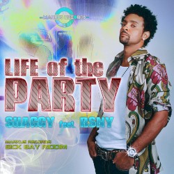 Life of the Party