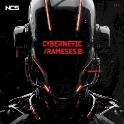 Cybernetic
