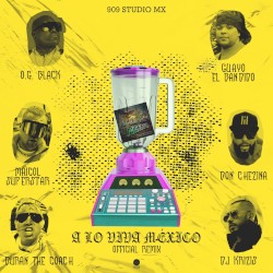 A lo viva México (remix)