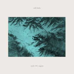 Cycle 3.8 | August