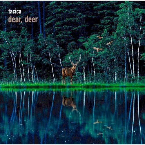 BEST ALBUM dear, deer