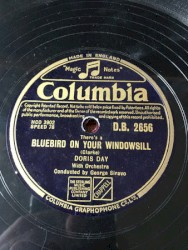 There's a Bluebird on Your Windowsill / Quicksilver
