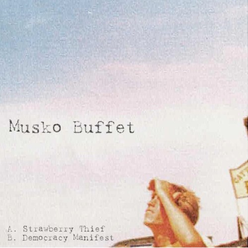 Strawberry Thief // Democracy Manifest