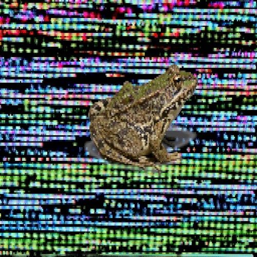 frog.