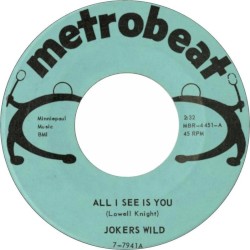 All I See Is You / I Just Can't Explain It